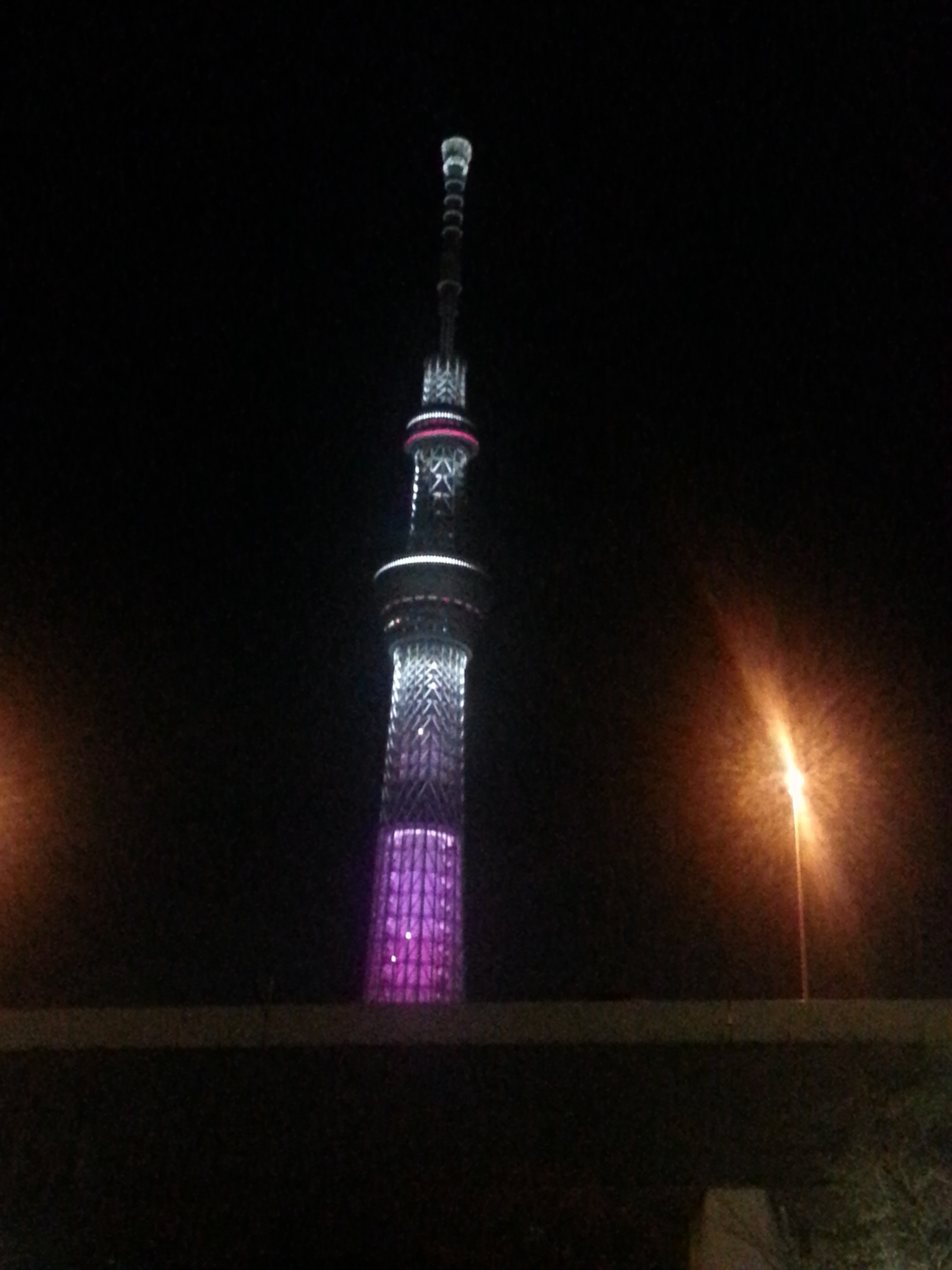 屋形船から見たスカイツリー