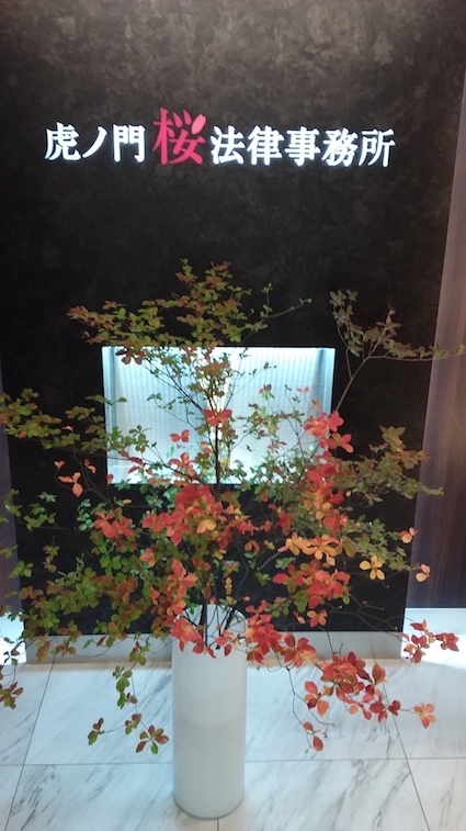 ドウダンツツジの紅葉