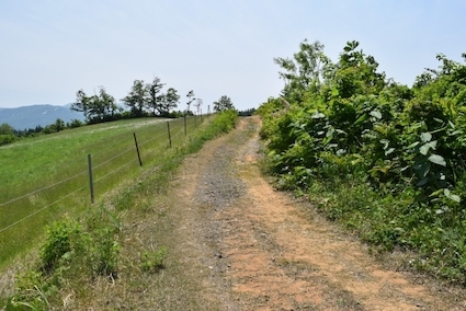 公有地の時効取得