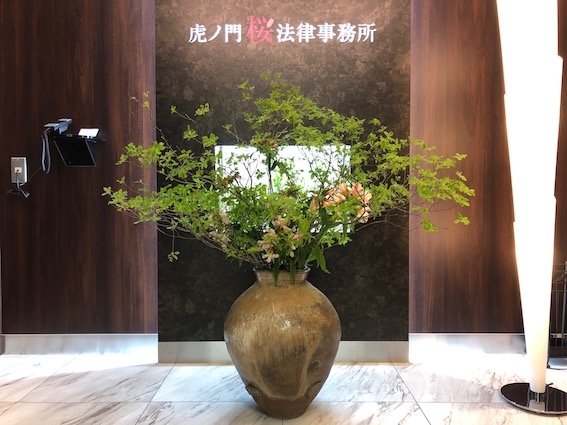 新緑のドウダンツツジ