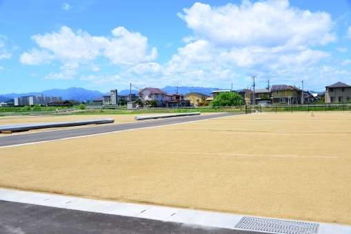 借地について、このようなお悩みはありませんか？